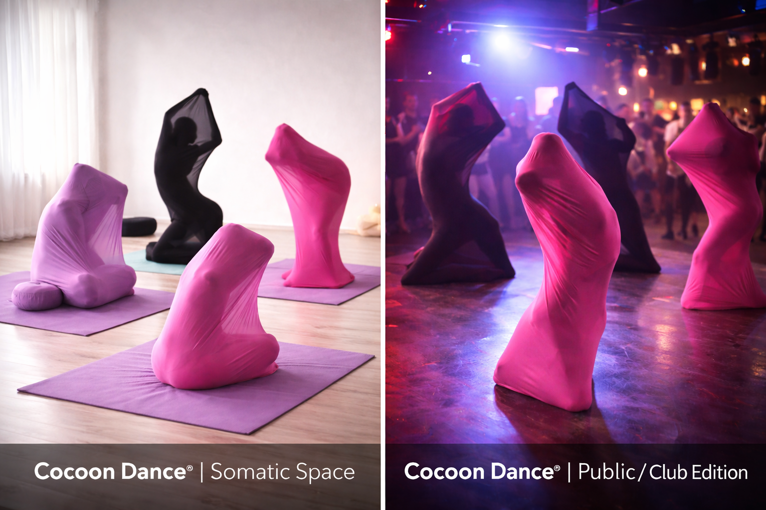 Cocoon Dance Editions